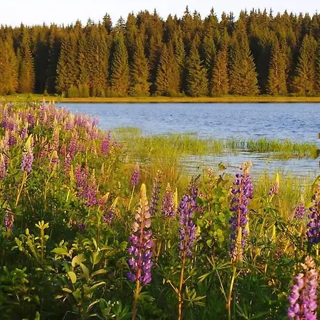 Διαμέρισμα Am Skihang Eg