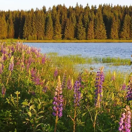 Διαμέρισμα Am Skihang Eg